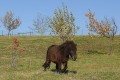 deniska-7.jpg