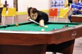 dsc-2134.jpg