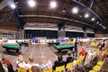 dsc-2446.jpg
