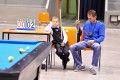 dsc-7884.jpg