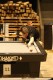 img-8050.jpg
