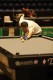 img-8215.jpg