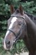 lysa-nad-labem-2006-113.jpg