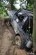 offroad-games-milovice-15.-16.7.17-50d-044.jpg