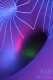 pf-2012-smidova.jpg