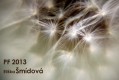 pf-2013-smidova.jpg