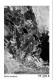 pf-2014-smidova.jpg