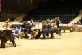 pso2019-davidvyskot-web-338.jpg