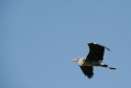 zoo-dvur-kralove-1.8.09-144.jpg