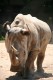 zoo-dvur-kralove-1.8.09-151.jpg