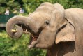 zoo-praha-14.8.2007-146.jpg